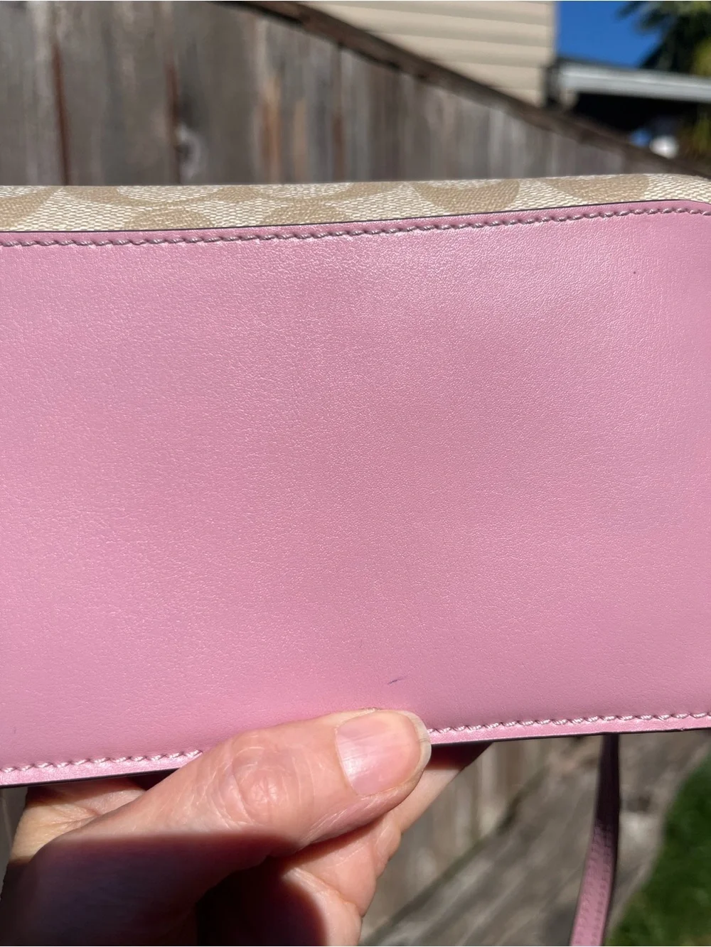 Disney X Coach Hayden Foldover Crossbody Clutch in with Sleeping Beauty Design